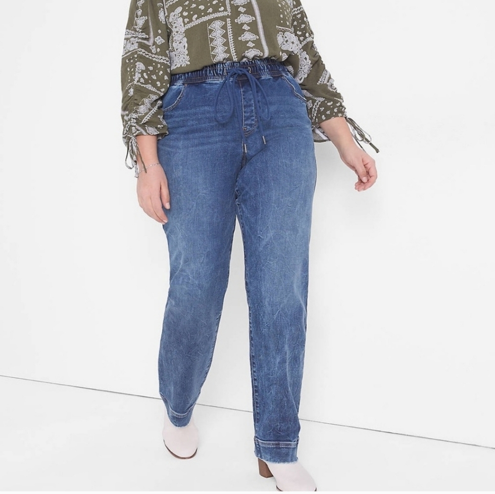 Lane Bryant High-Rise Pull-On Relaxed Straight Jean Plus Size 26 NWT! Medium Was